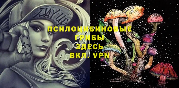 индика Навашино