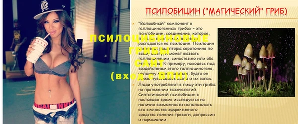 индика Навашино