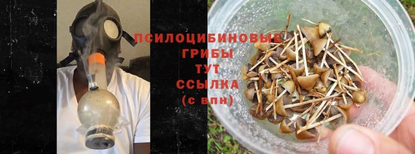 индика Навашино