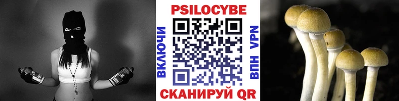 как найти наркотики Ужур Псилоцибиновые грибы прущие грибы